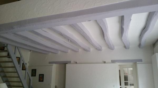Revêtement de plafond de qualité au BOULLAY MIVOYE